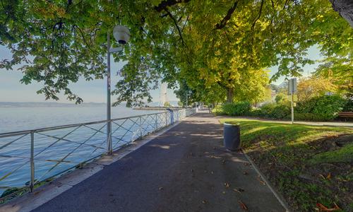 À la rive du lac 3