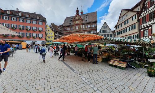 Market square of Tübingen