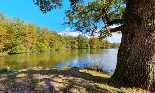 Bärenschlössle (am Pfaffensee)