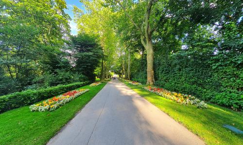 Palace gardens