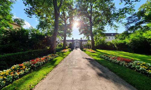 Palace gardens