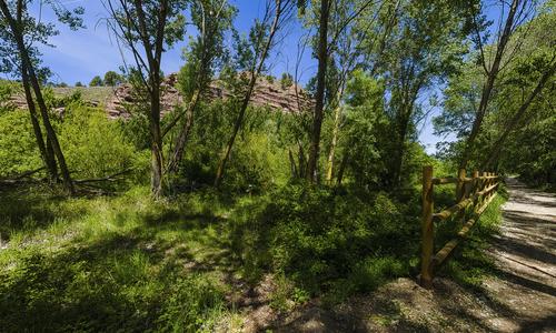 Choperas de Nájera