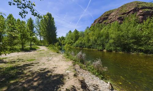 Choperas y río Najerilla
