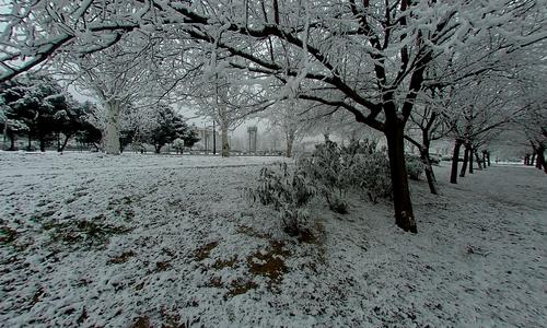 Cercellada en Zaragoza