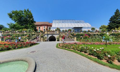 Italienischer Rosengarten
