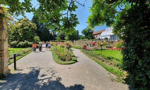 Italienischer Rosengarten