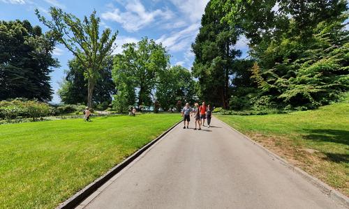 Rhododendronweg