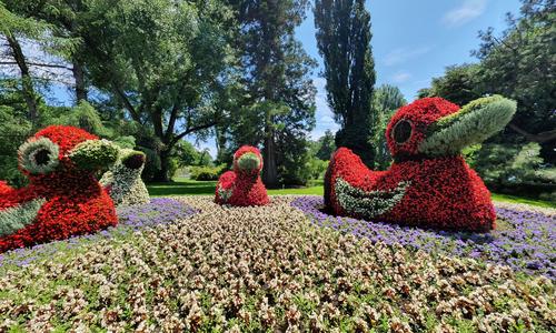 Isla de Mainau