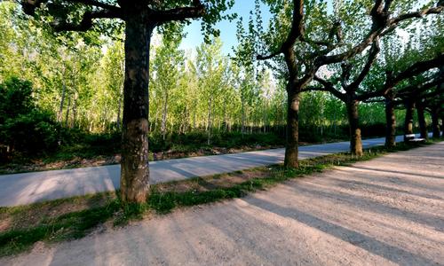 Paseo de san Julian