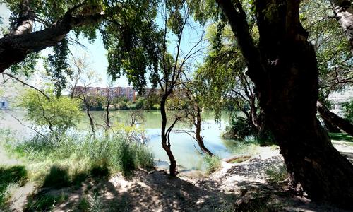 Orilla Ebro - Vadorey