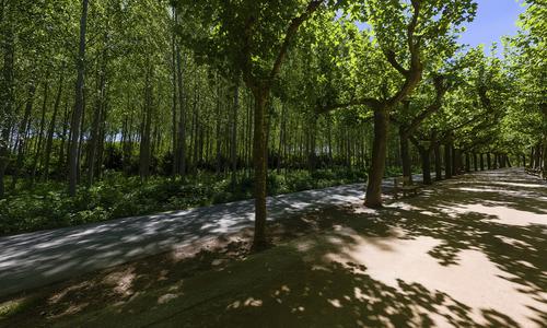Paseo de san julian
