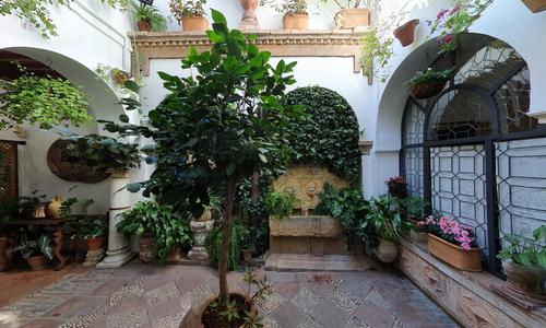 Patio en la calle de San Basilio 20