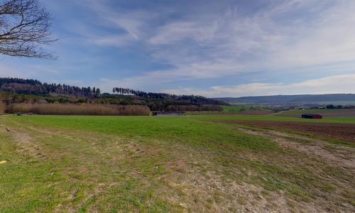 Campos cerca de Westhausen